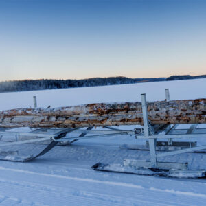 Timber dumping